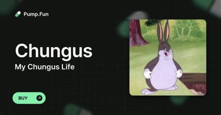 Embracing the Chaos: My Chungus Life Journey