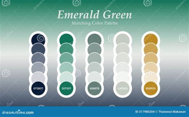 Exploring the Perfect Color Combinations: Green Match with What Colour?